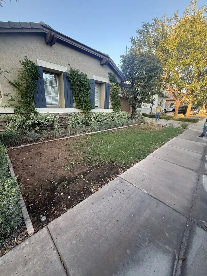 Before: front yard strip of bare dirt along the sidewalk
